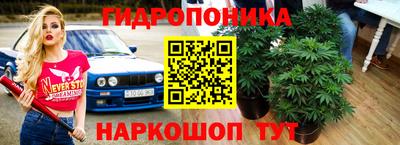 стаф Берёзовский