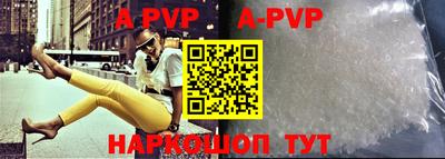 стаф Берёзовский