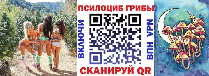 Псилоцибиновые грибы прущие грибы  Миасс 