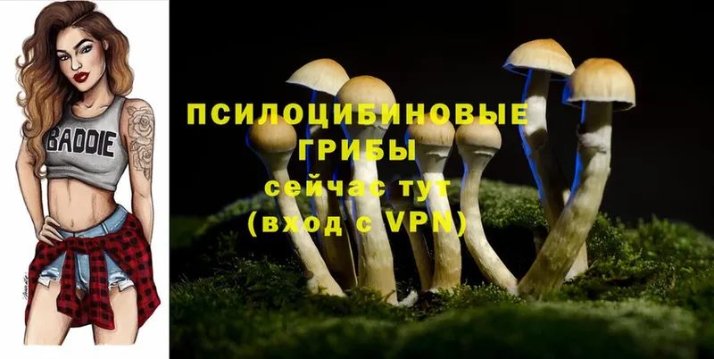 где продают наркотики  Миасс  Галлюциногенные грибы Psilocybe 