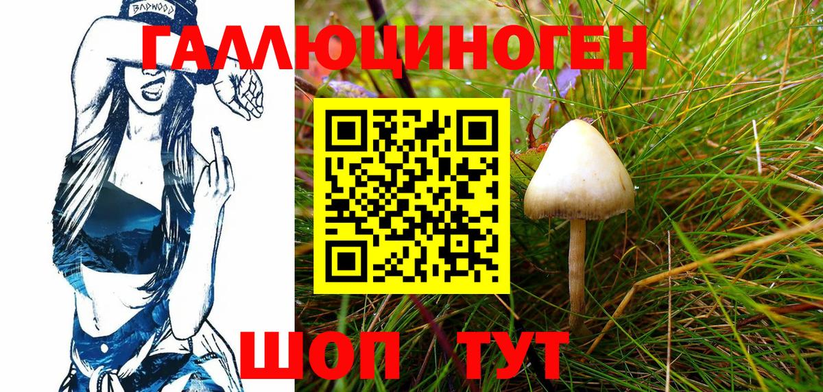 Галлюциногенные грибы мухоморы Миасс