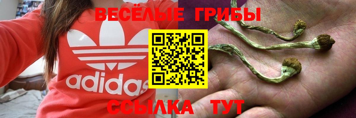 Галлюциногенные грибы мицелий  Миасс 